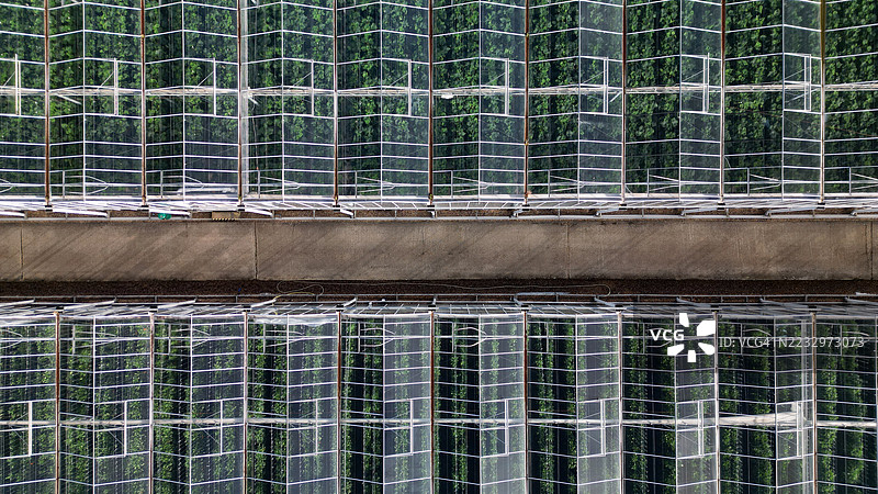 商业温室图片素材