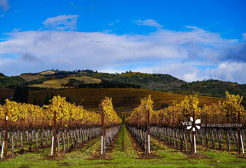 加利福尼亚州索诺玛县的秋天图片素材