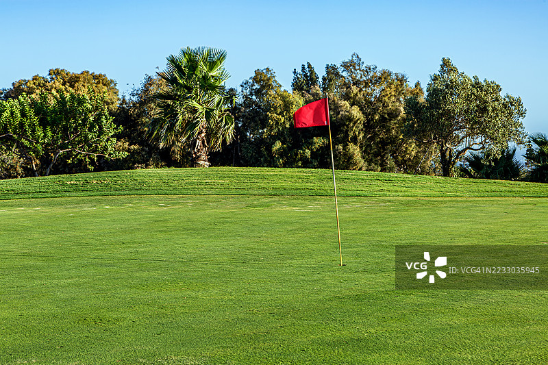 高尔夫球场的果岭上插着红色旗帜，蓝天晴朗。图片素材