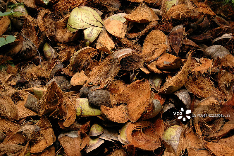 椰子壳图片素材