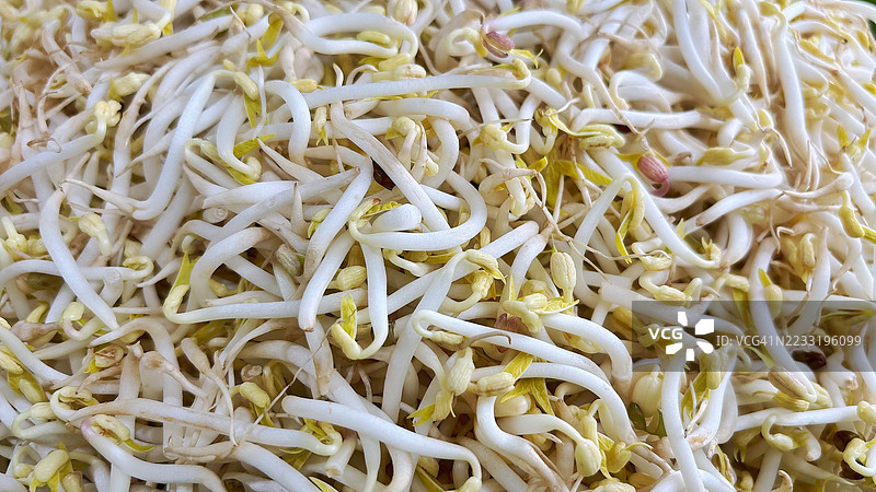 新鲜豆芽的特写，健康有机蔬菜背景，完美适合亚洲料理、素食和营养概念图片素材