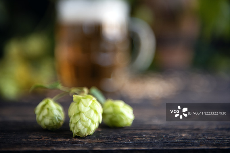 新鲜的绿色啤酒花球在木质背景上图片素材