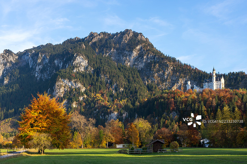 新天鹅堡与阿尔卑斯山的秋叶图片素材