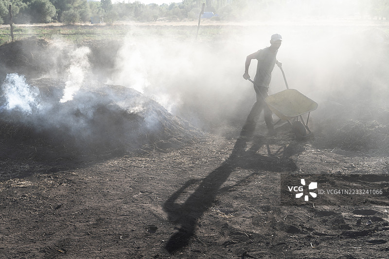 将橡树转化为木炭的工人，称为“托拉克奇”，他们经历了艰苦的奋斗。图片素材