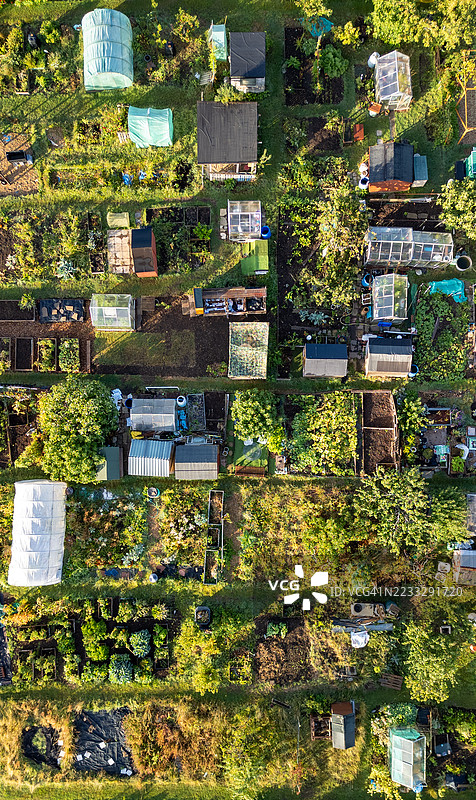 社区菜园图片素材