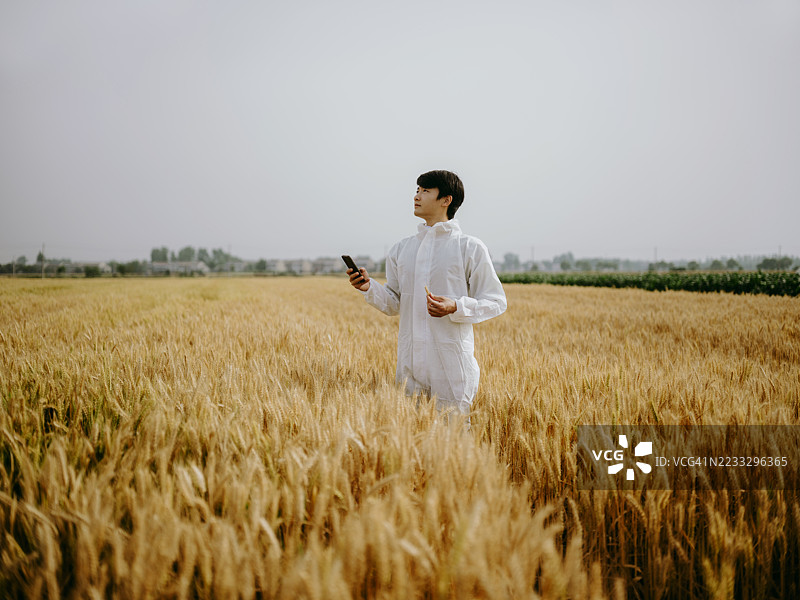 一位年轻的亚洲科学家在小麦田中采集样本图片素材