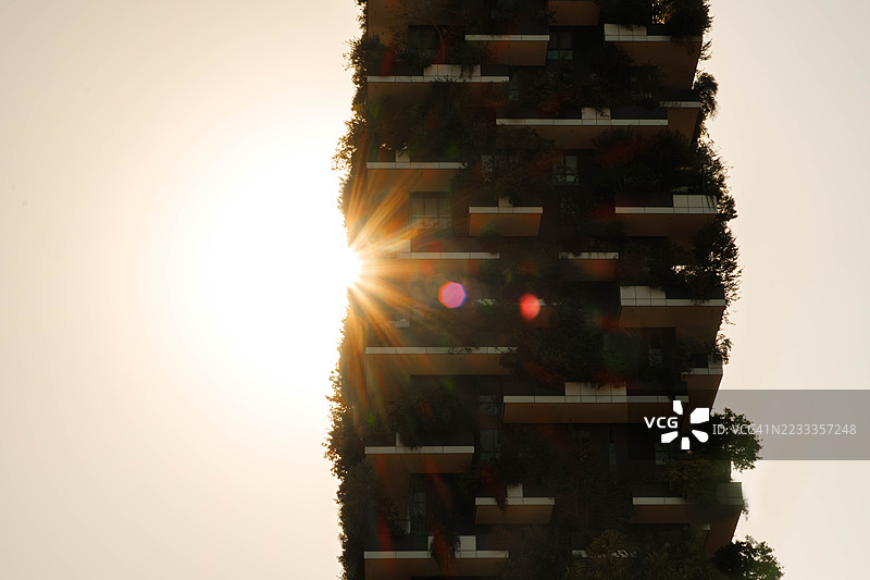 环保垂直森林住宅塔 - 绿色可再生城市生活图片素材