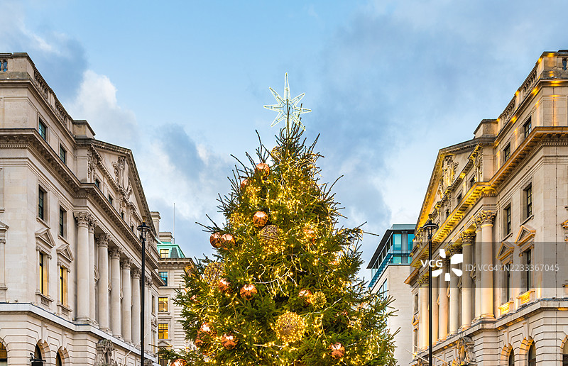 伦敦的灯光圣诞树图片素材