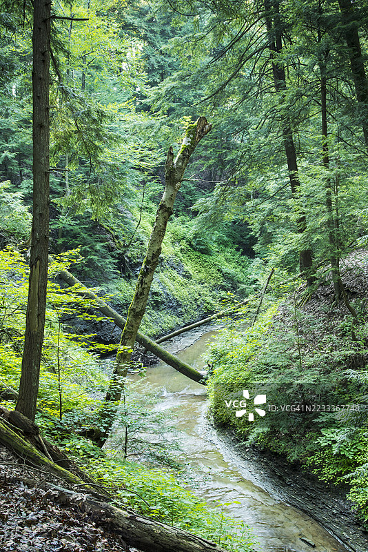 凯霍加谷国家公园图片素材