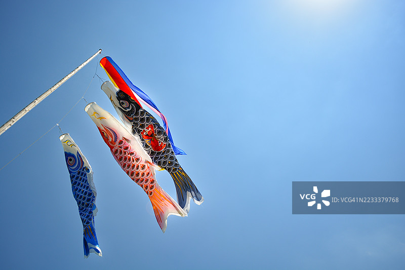 五彩斑斓的鲤鱼旗在晴朗的蓝天中飘扬图片素材