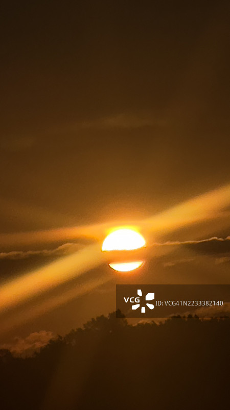 戏剧性的日落映衬着树木的轮廓图片素材