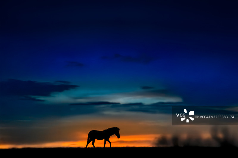 日落时分田野中的马的剪影图片素材