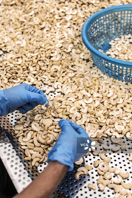 手在金属表面上分类腰果图片素材