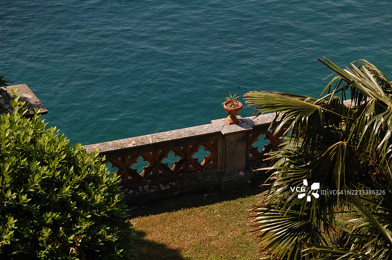 高角度视图的海滨花园，棕榈树和盆栽植物图片素材