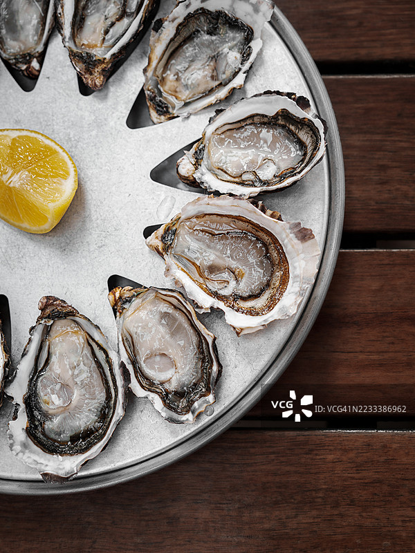 新鲜生蚝放在金属托盘上，配有柠檬角图片素材