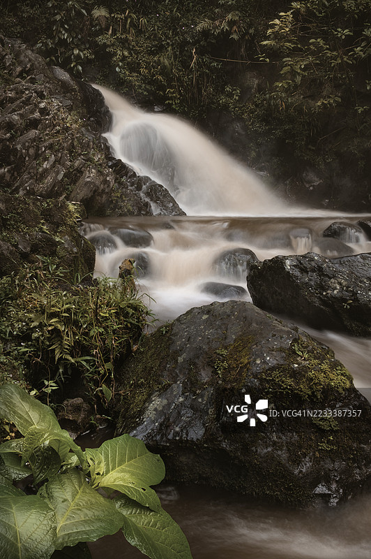 宁静的瀑布在印度尼西亚万丹郁郁葱葱的森林中倾泻而下图片素材