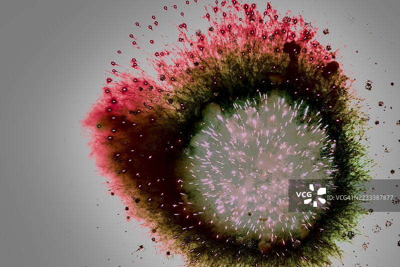 灰色背景上的抽象色彩爆炸图片素材