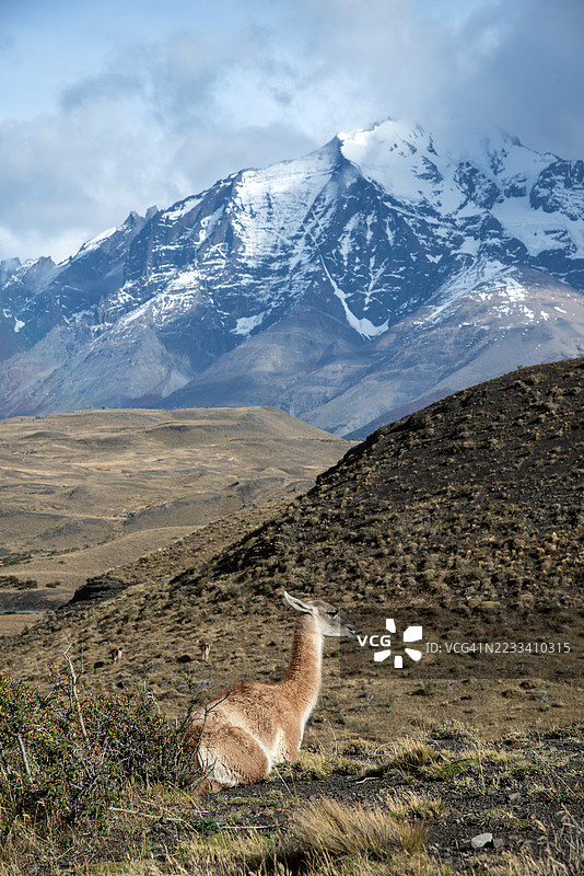 巴塔哥尼亚图片素材