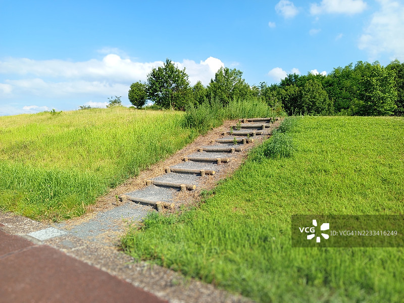 日本蓝天下郁郁葱葱的田野中的石头小径图片素材