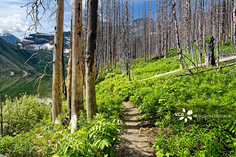 风景如画的山林小径与湖泊，加拿大莱斯布里奇图片素材
