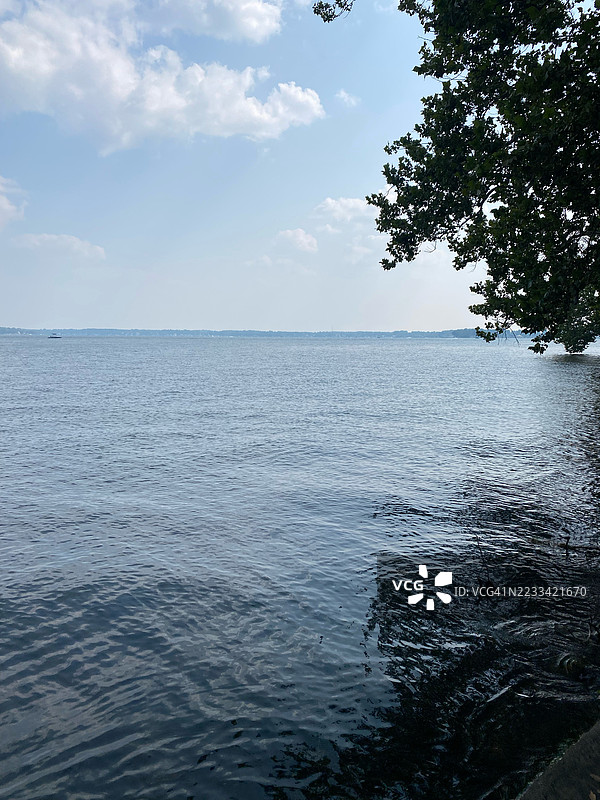 宁静的海景，树枝和蓝天，卡尔弗，美国图片素材