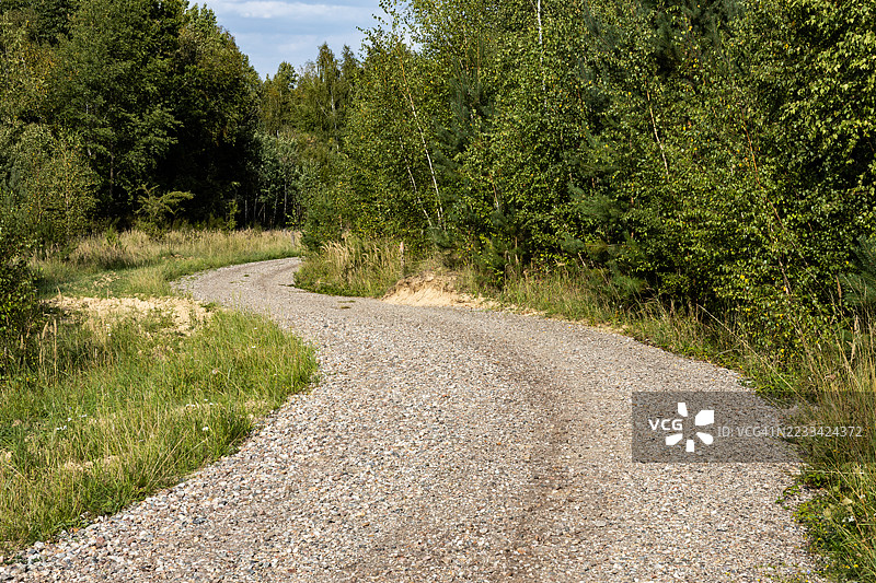 森林中的弯曲泥土道路图片素材