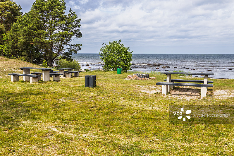 海滨野餐区，配有长椅和树木图片素材