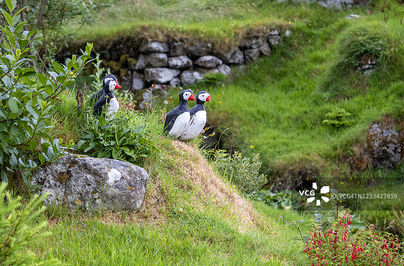 法罗群岛维达雷伊的木制海雀雕塑图片素材