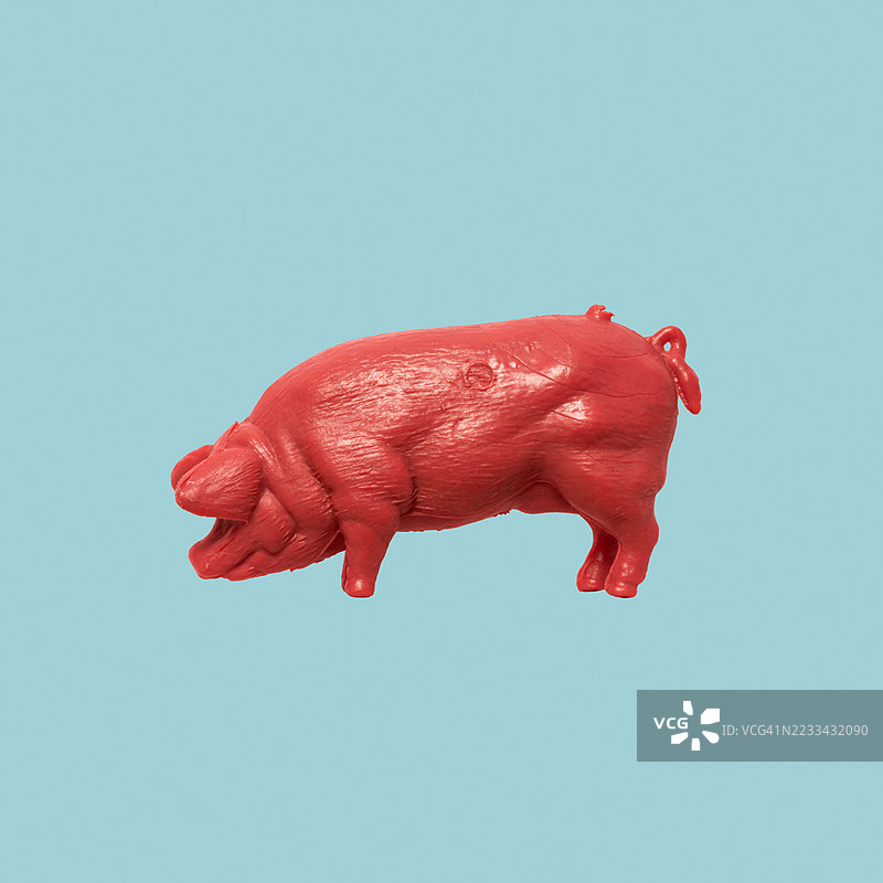 塑料猪图片素材