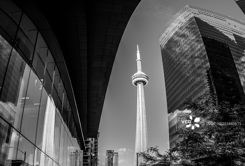 多伦多城市天际线图片素材