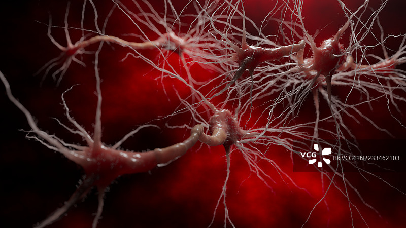 大脑神经元在通过树突和轴突形成连接时发出冲动。红色的光芒营造出一种活跃和充满能量的氛围。图片素材