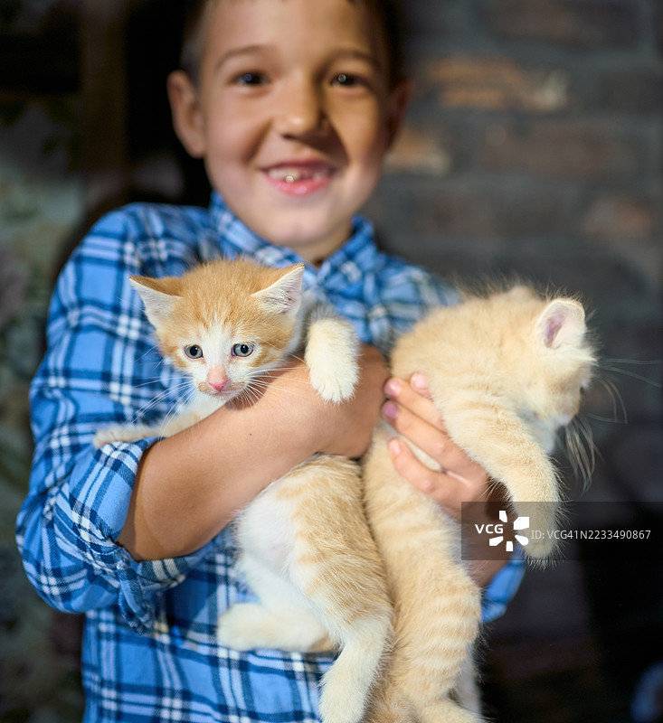 快乐的男孩对两只新宠物红色小猫感到开心图片素材