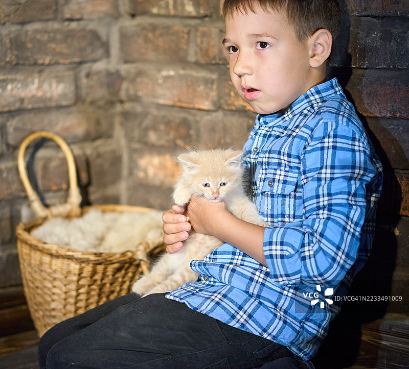 可爱男孩坐在腿上，轻轻拥抱着小橘猫。图片素材