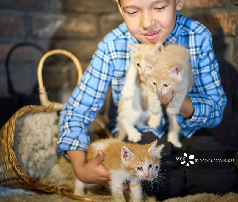 快乐的男孩坐在腿上，怀里抱着四只小姜猫。图片素材