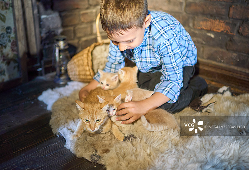 一个快乐的男孩坐在腿上，试图把一只母猫和她的四只小姜黄色小猫抱在一起。图片素材