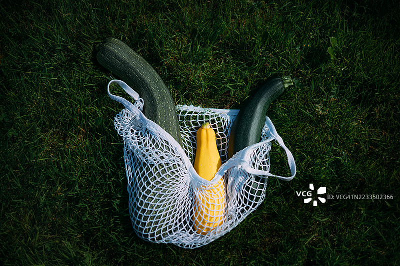 新鲜的西葫芦躺在绿色的草地上。俯视新鲜的西葫芦，成熟的西葫芦。图片素材