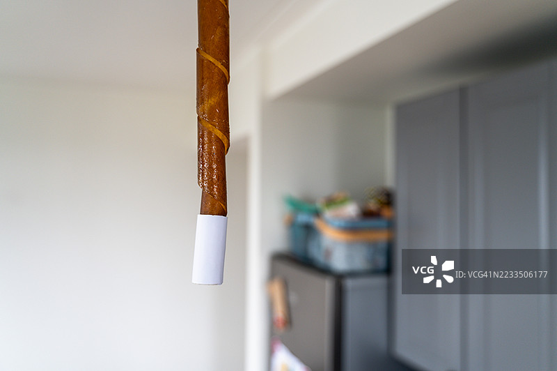 厨房天花板上悬挂的粘虫带图片素材