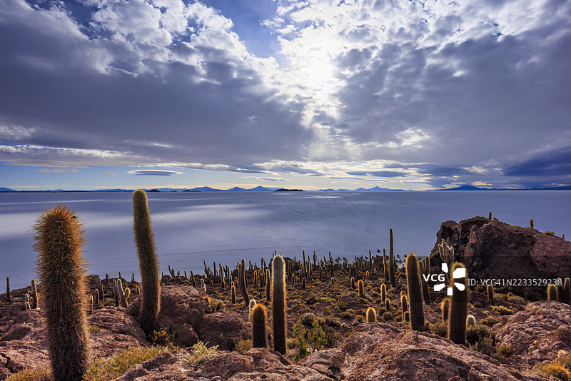 乌尤尼盐沼的鱼岛图片素材