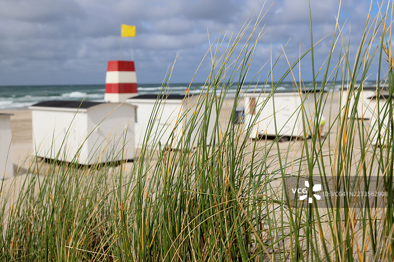 海滨小屋与草地前景和海洋景观图片素材