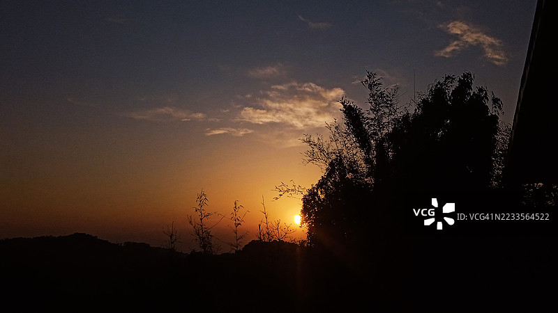 树木的剪影映衬着绚丽的日落天空图片素材