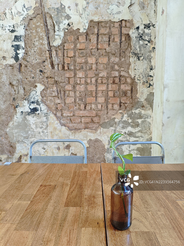 一株小植物放在棕色玻璃瓶中，置于木桌上，背景是乡村风格的墙壁，位于印度尼西亚的苏木尔万东区。图片素材