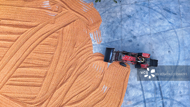 小麦收割的航空视角与拖拉机图片素材
