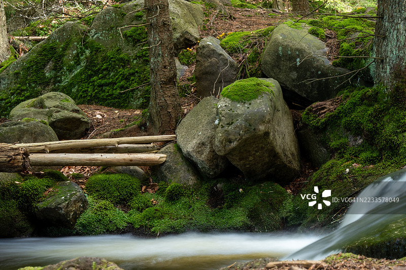 波兰宁静的森林溪流与苔藓覆盖的岩石图片素材