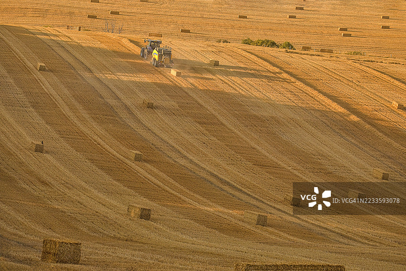 英国多塞特郡西卢尔沃斯的农业田地中的拖拉机图片素材
