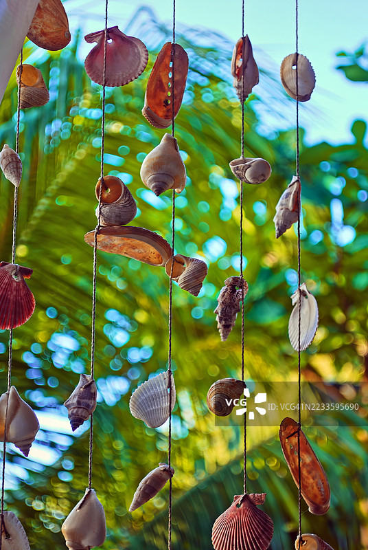 像窗帘一样的贝壳和海洋元素的展示，悬挂在垂直的线条上。图片素材