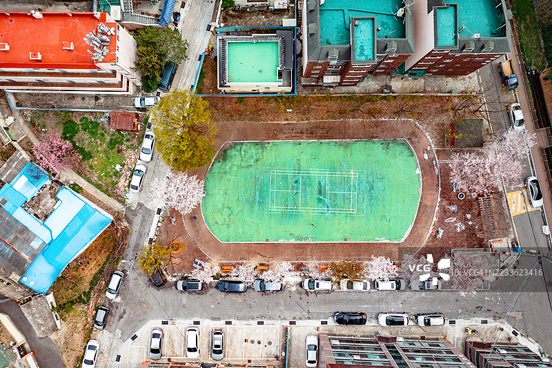 小城市公园里的樱花图片素材