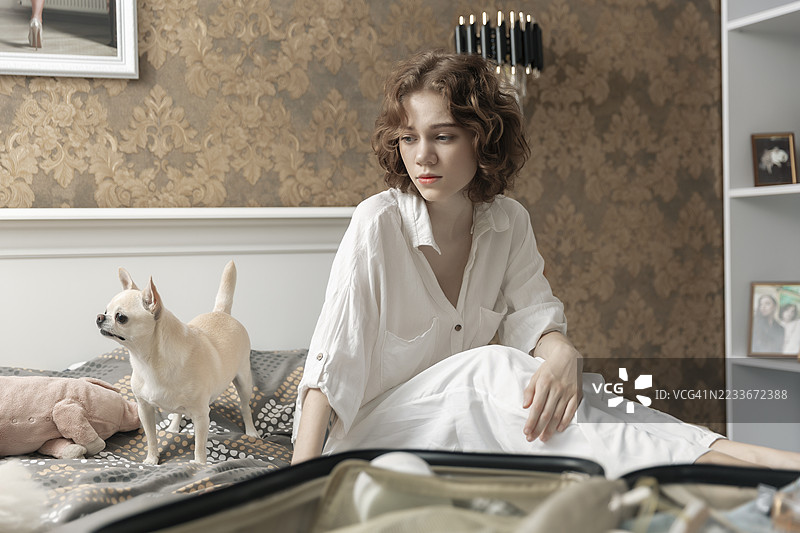 年轻女性在打包行李，她的小吉娃娃狗在旁边看着她。图片素材