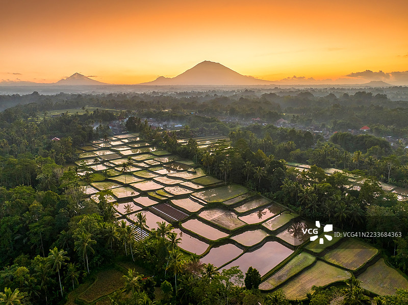 令人惊叹的印度尼西亚巴厘岛空中视角,展示了生机勃勃的稻田、郁郁葱葱的风景和沐浴在温暖日出光辉中的传统村庄。体验这个热带天堂的宁静之美和丰富文化。图片素材