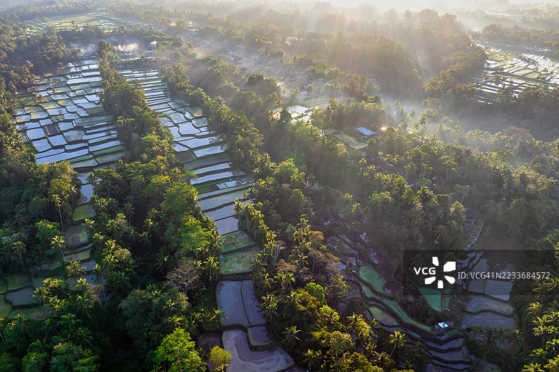 令人惊叹的印度尼西亚巴厘岛空中视角,展示了生机勃勃的稻田、郁郁葱葱的风景和沐浴在温暖日出光辉中的传统村庄。体验这个热带天堂的宁静之美和丰富文化。图片素材