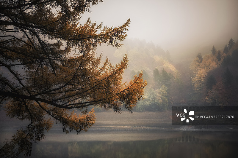 湖边树木的朦胧秋季风景，阿什本，英国图片素材